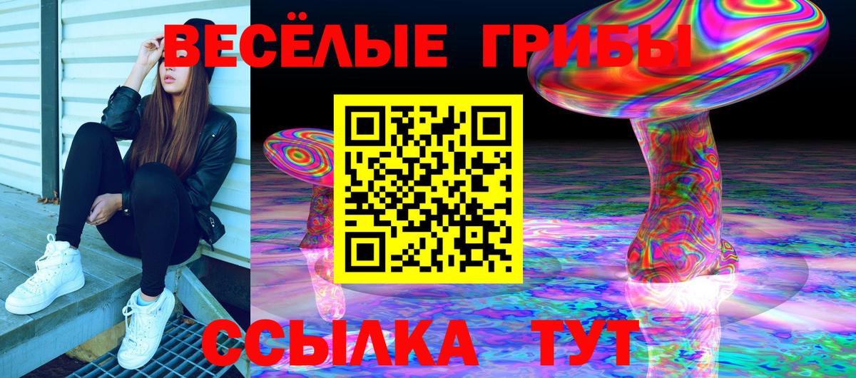 Псилоцибиновые грибы Psilocybe  Вход с VPN  купить  сайты  Усинск 